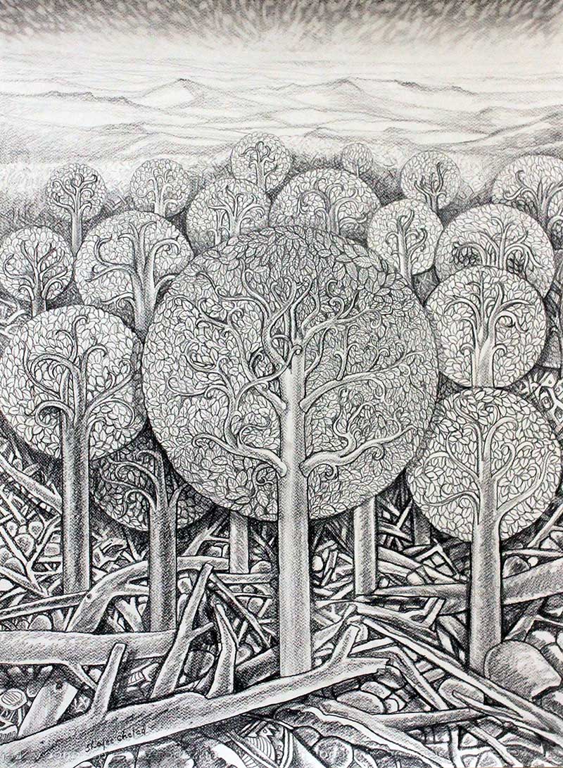 Shajee Chelad pencil on canvas